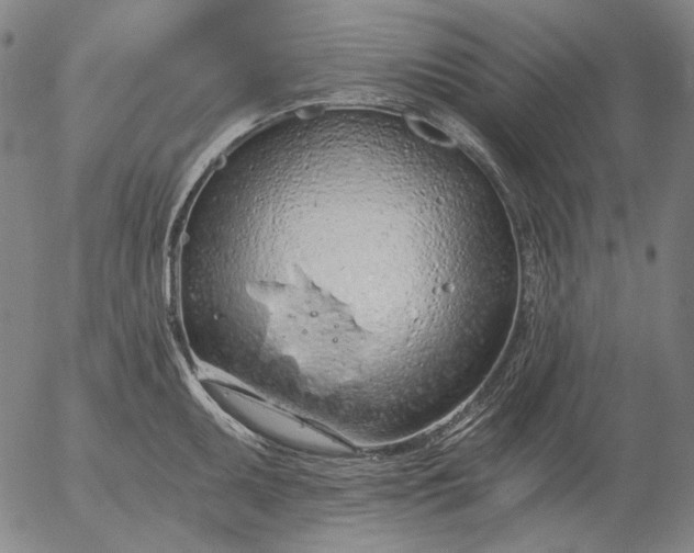 X0000055991095200509021632