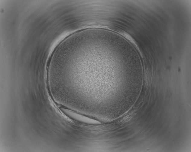 X0000055991096200509021632