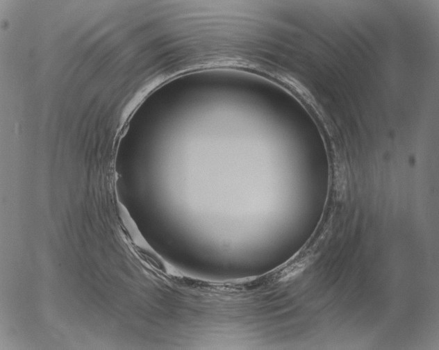 X0000055991097200509021632