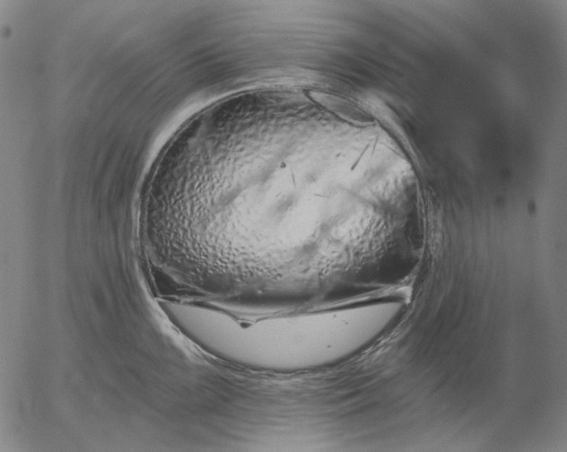 X0000055991099200509021632