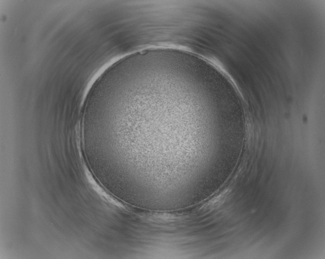 X0000055991100200509021632