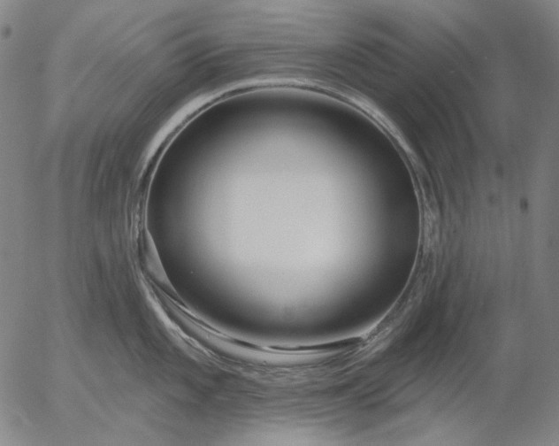 X0000055991101200509021632