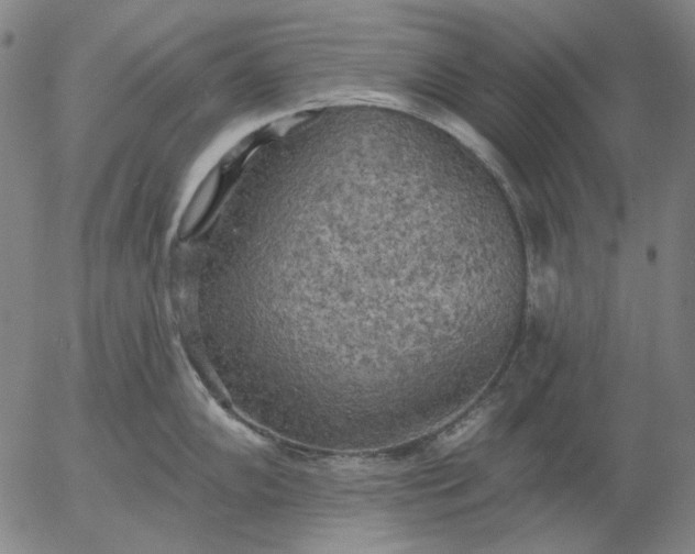 X0000055991102200509021632