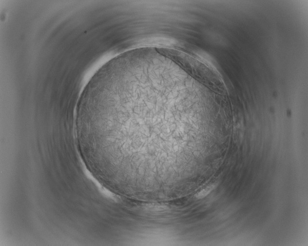 X0000055991103200509021632