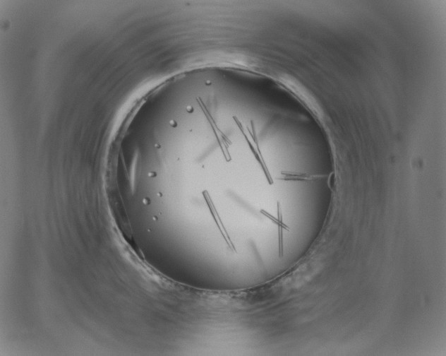 X0000055991104200509021632