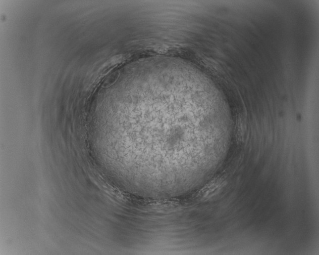 X0000055991105200509021631