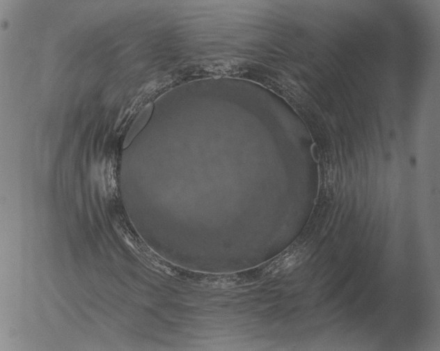 X0000055991106200509021631