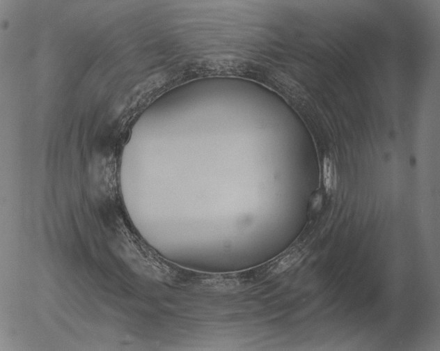 X0000055991107200509021631