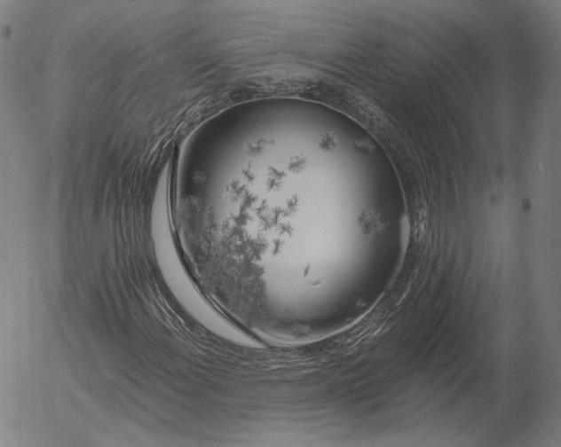 X0000055991108200509021631