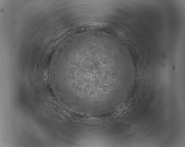 X0000055991109200509021631