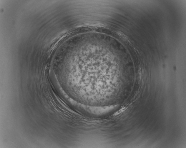 X0000055991110200509021631