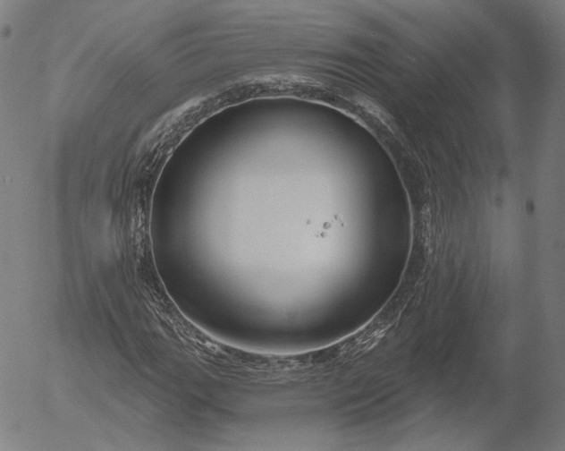 X0000055991111200509021631