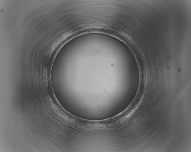 X0000055991113200509021631