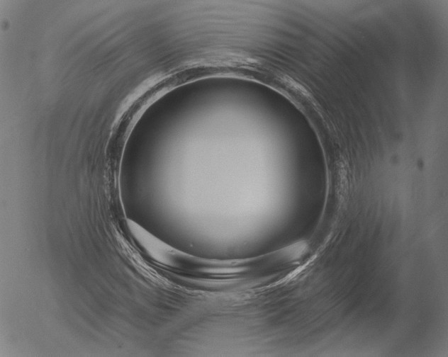 X0000055991114200509021631