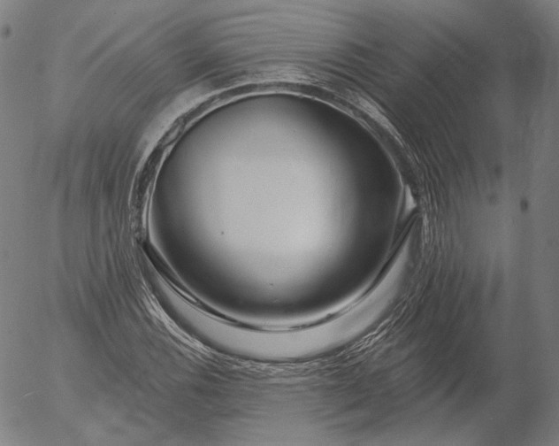 X0000055991116200509021631