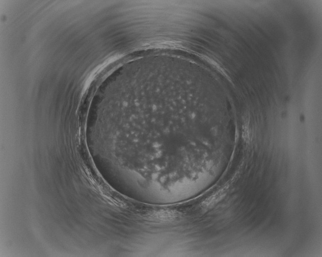 X0000055991117200509021631