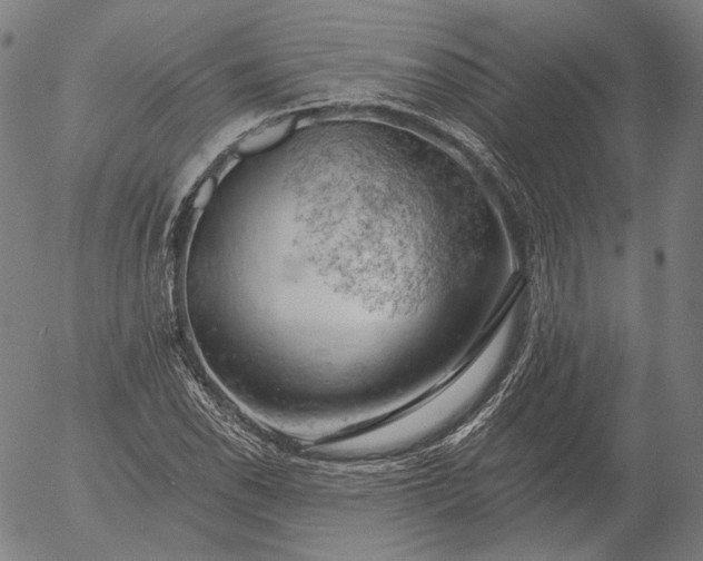 X0000055991118200509021631