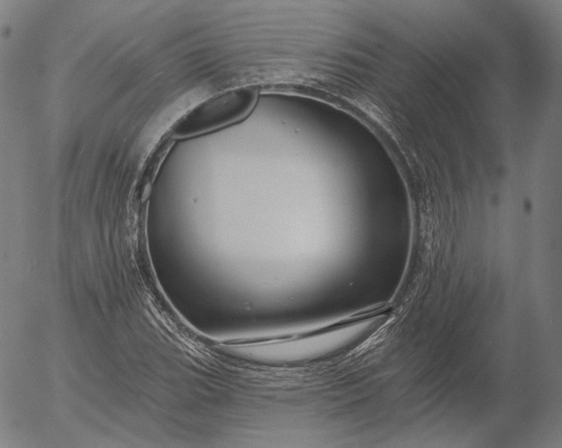 X0000055991119200509021631