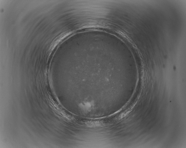 X0000055991121200509021631