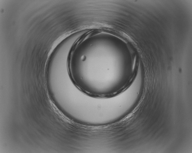 X0000055991122200509021631