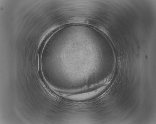 X0000055991123200509021631