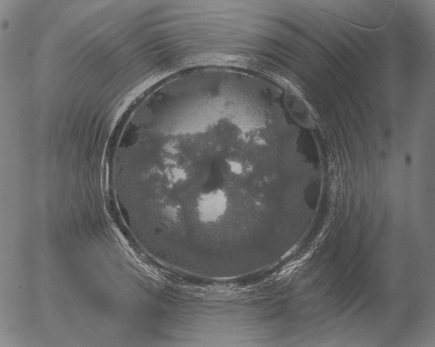 X0000055991125200509021631