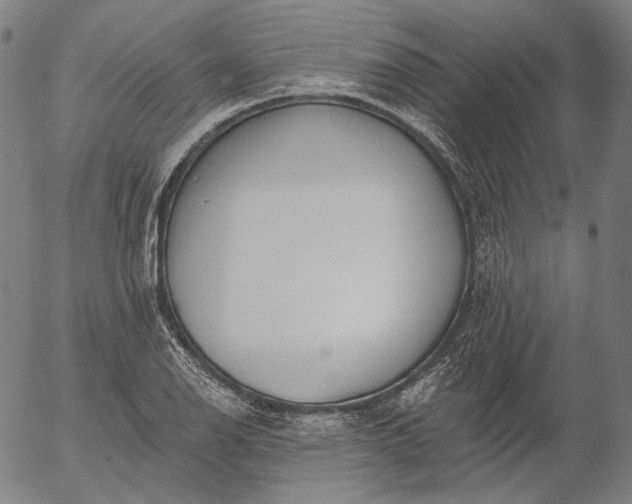 X0000055991126200509021631