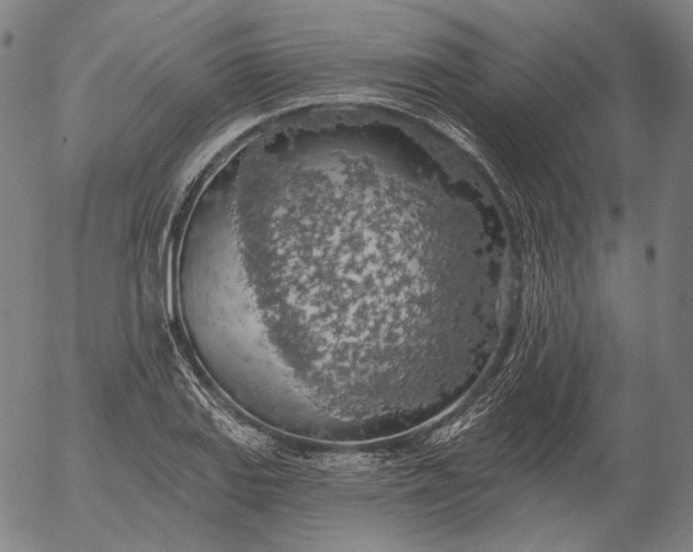 X0000055991127200509021631