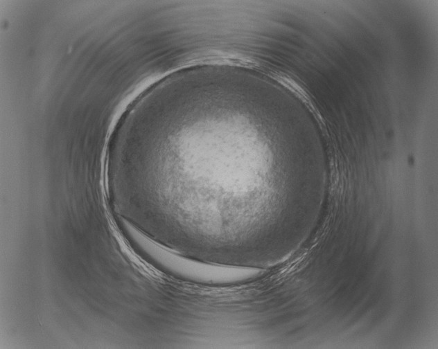 X0000055991128200509021631