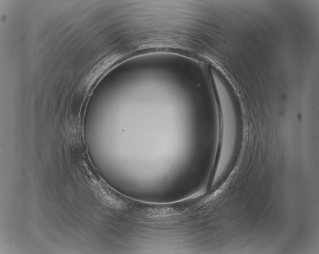 X0000055991129200509021631