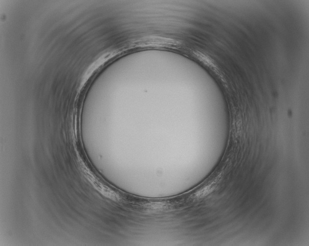 X0000055991130200509021631