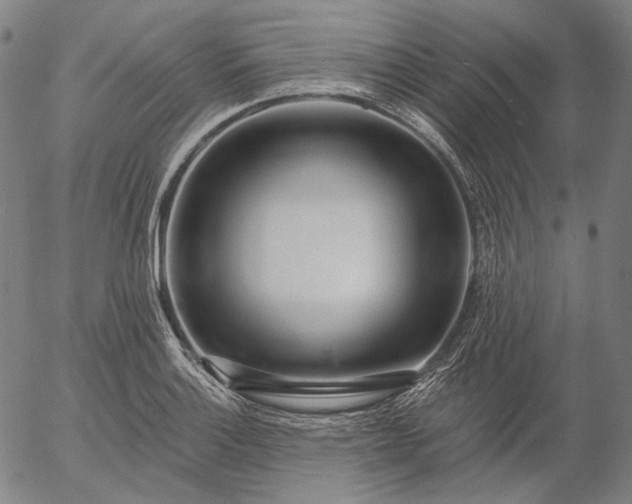 X0000055991132200509021631