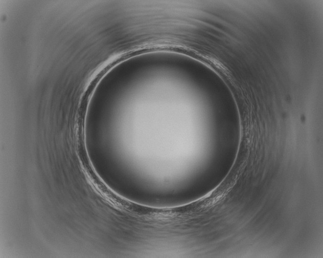 X0000055991134200509021631