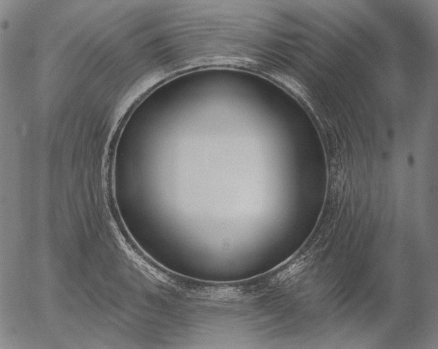 X0000055991135200509021631