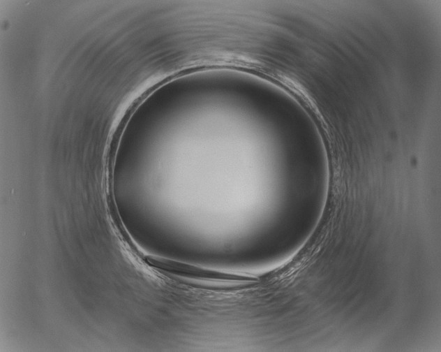 X0000055991136200509021631