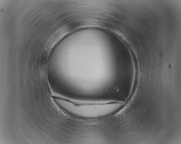 X0000055991137200509021631