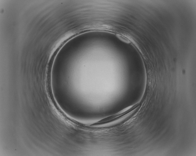 X0000055991139200509021631