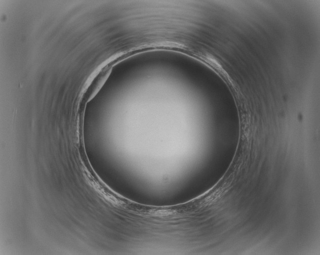 X0000055991140200509021631