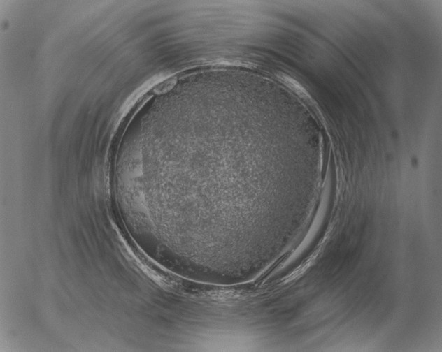 X0000055991141200509021631