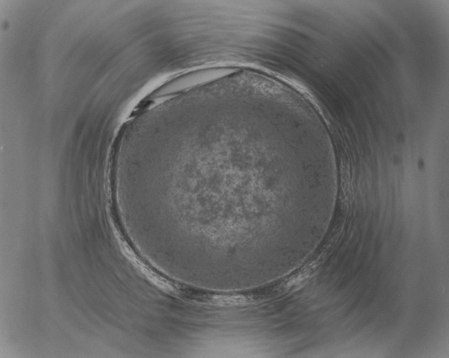 X0000055991142200509021631