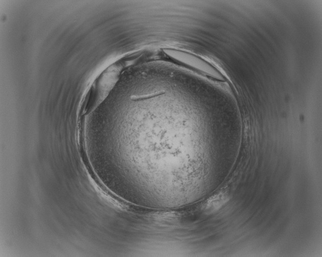 X0000055991143200509021631