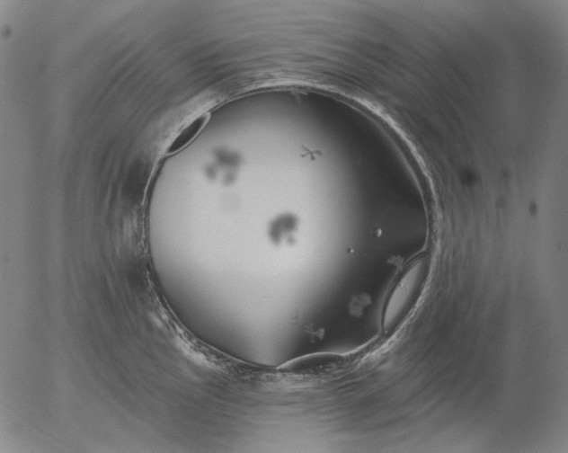 X0000055991145200509021632