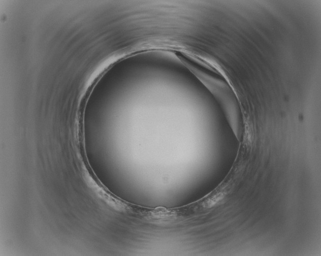 X0000055991147200509021632