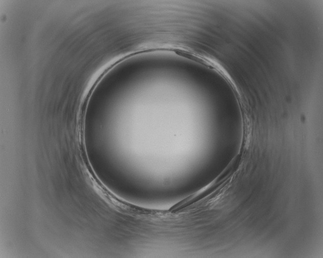 X0000055991148200509021632