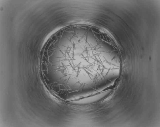 X0000055991149200509021632