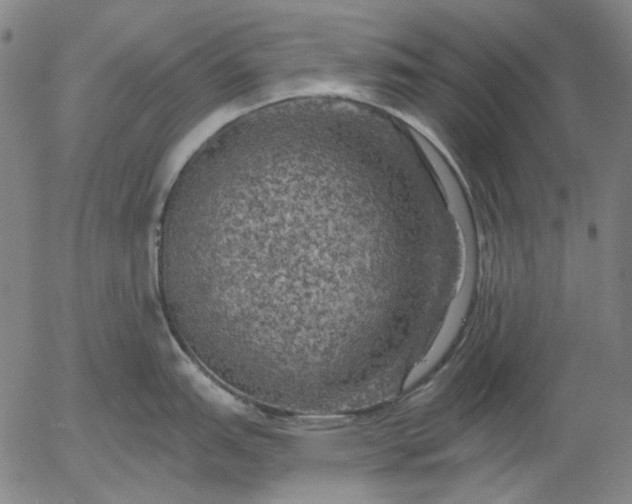 X0000055991151200509021632