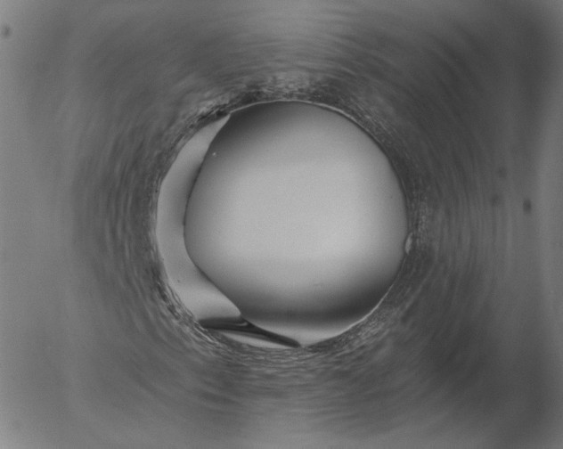 X0000055991153200509021631