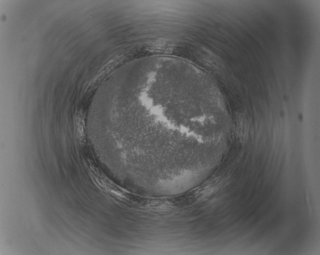 X0000055991154200509021631