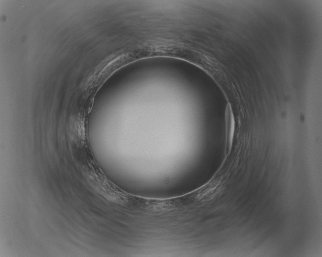 X0000055991155200509021631