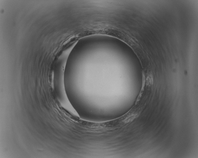 X0000055991156200509021631